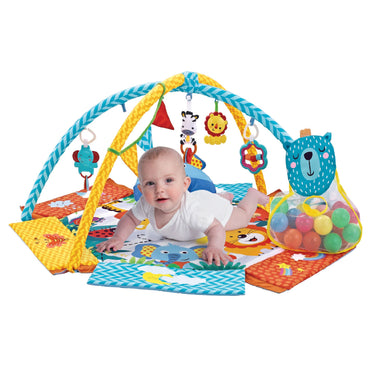 Activity Gym, Play Mat & Balls